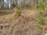  Mohawk Cliff Road - Photo 10
