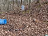  Mohawk Cliff Road - Photo 11