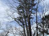  Mohawk Cliff Road - Photo 12