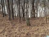  Mohawk Cliff Road - Photo 8