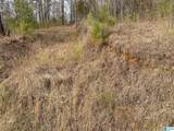  Mohawk Cliff Road - Photo 9