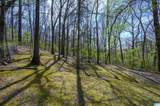915 Rich Road - Photo 45