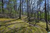 915 Rich Road - Photo 47