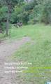 1134 White Plains Road - Photo 29