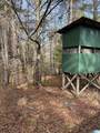 1134 White Plains Road - Photo 39