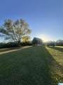 1134 White Plains Road - Photo 7