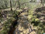0 County Road 51 - Photo 14