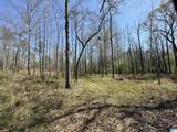 0 County Road 51 - Photo 24