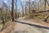 12 Acres Allison Lane - Photo 13