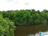 Lot 1 Old Highway 431 - Photo 7
