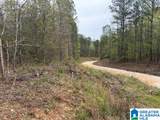 0 County Road 806 - Photo 3
