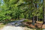6703 Spring Street - Photo 6