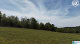 1600 County Road 125 - Photo 11