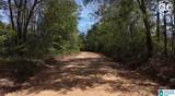 1600 County Road 125 - Photo 12