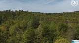 1600 County Road 125 - Photo 14