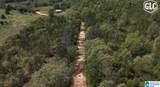1600 County Road 125 - Photo 4