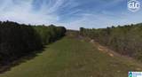 1600 County Road 125 - Photo 6