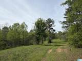 2121 Center Hill Road - Photo 33