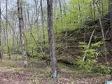 2121 Center Hill Road - Photo 40