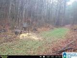 2121 Center Hill Road - Photo 41