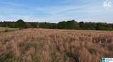 3279 Whiting Road - Photo 13