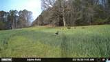 3279 Whiting Road - Photo 38
