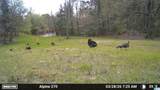 3279 Whiting Road - Photo 40