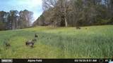 3279 Whiting Road - Photo 41