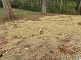 340 Eastview Boulevard - Photo 5