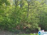 0 Mellon Bridge Road - Photo 6