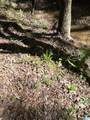 0 Hickory Hills Drive - Photo 17