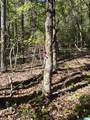0 Hickory Hills Drive - Photo 18