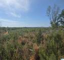 Tract 8 County Road 256 - Photo 1