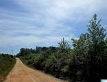 Tract 8 County Road 256 - Photo 2