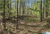 Off of Magnolia Crest Way - Photo 11