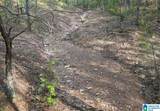 Off of Magnolia Crest Way - Photo 12