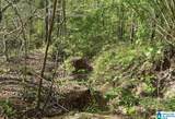 Off of Magnolia Crest Way - Photo 13
