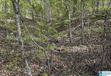 Off of Magnolia Crest Way - Photo 8
