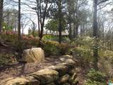 2653 Overhill Circle - Photo 53