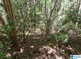 Off of Castleberry Road - Photo 7