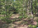 0 Piney Woods Road - Photo 1
