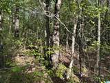 0 Piney Woods Road - Photo 5