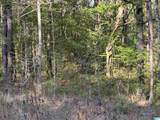 0 Piney Woods Road - Photo 4