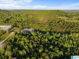 42 acres Alabama Highway 77 - Photo 1