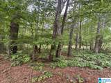 000 County Road 400 - Photo 2