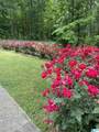 8172 Cedar Mountain Road - Photo 32