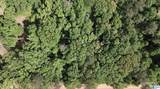  Blueberry Road - Photo 5