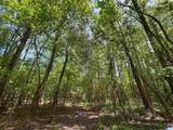 498 Blackwood Road - Photo 10