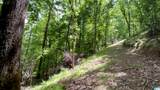 498 Blackwood Road - Photo 41