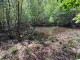 498 Blackwood Road - Photo 8